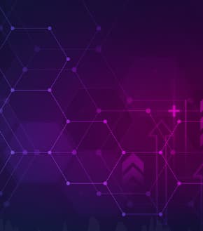 Access 20 years of data with flexible pricing