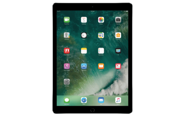 iPad Pro 12.9 (1st Gen)