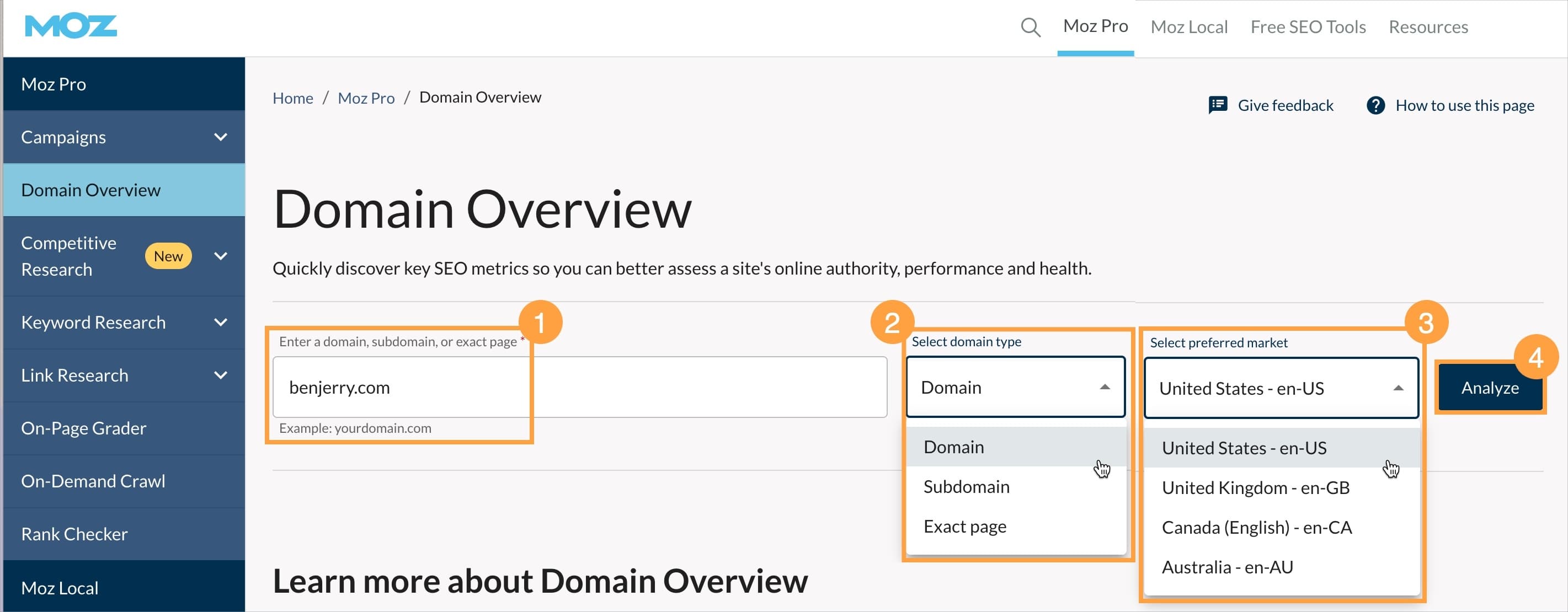 Domain Overview tool with the URL box filled in and the drop-downs expanded.