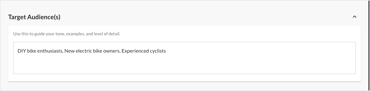 Screenshot of the Target Audience section of AI Content Brief.