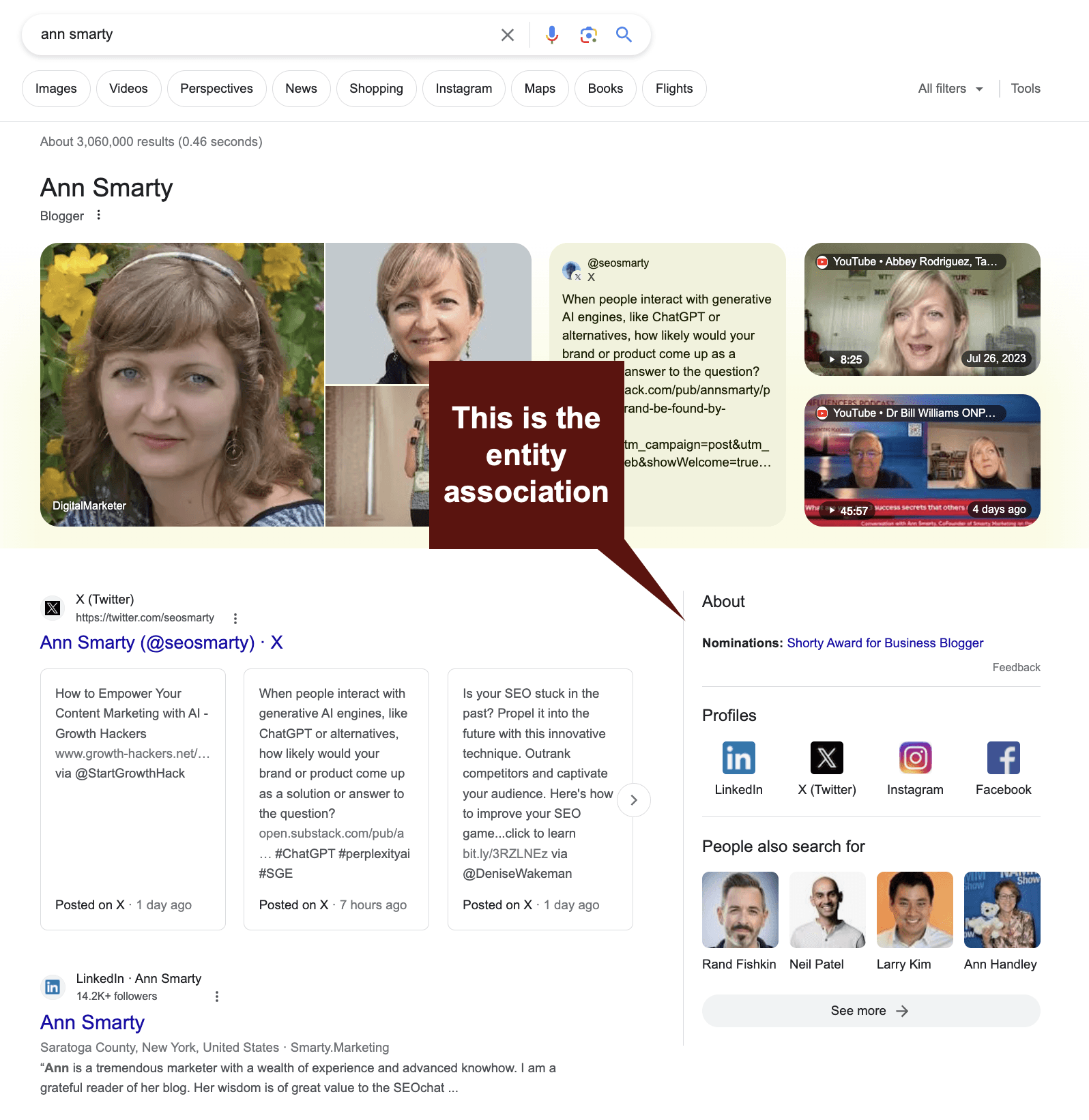 Ann Smarty Knowledge panel