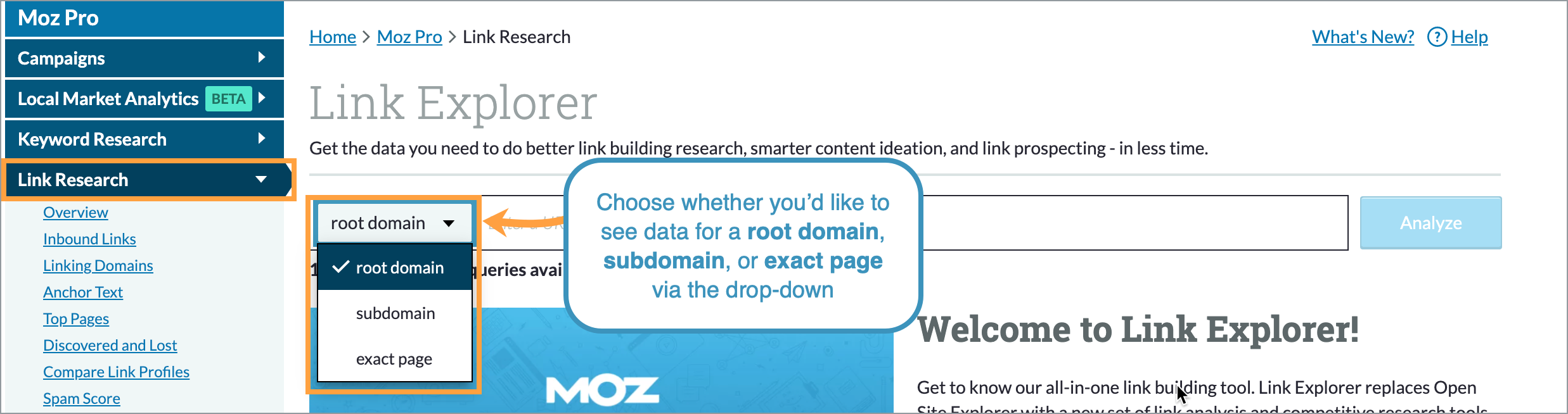 From the main Link Explorer page or from the overview section, enter the URL you'd like to research.
