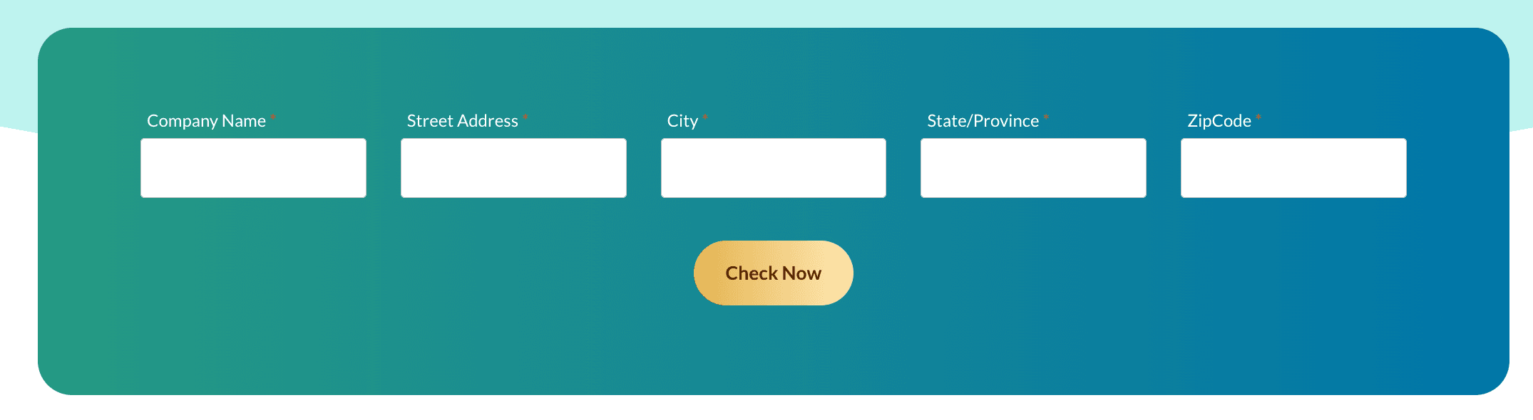 Screenshot of the input fields and check now button.